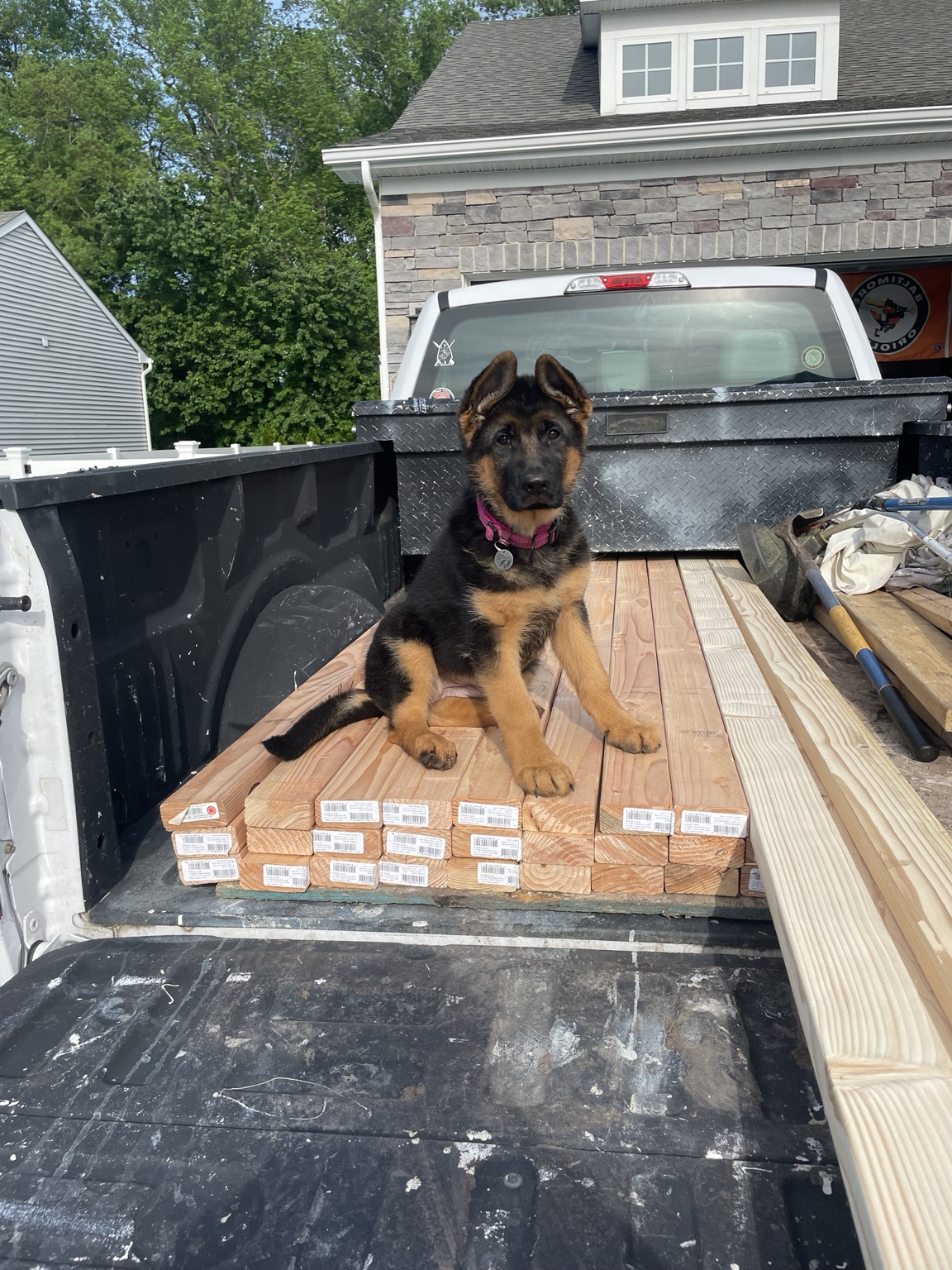 Honor Services project helper on lumber in truck bed